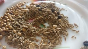 Spices - cumin, coriander, carom and peppercorns